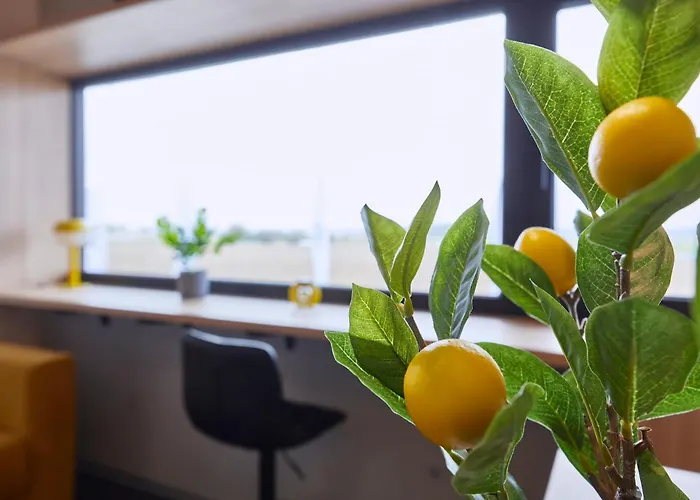 Miniloft Leonding - 24h Self-check-in - Free Parking شقة