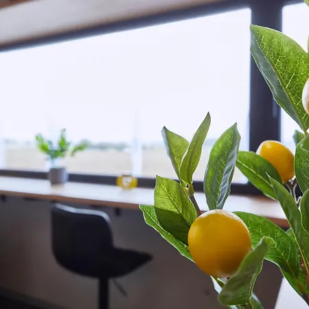 Miniloft Leonding - 24h Self-check-in - Free Parking Lägenhet